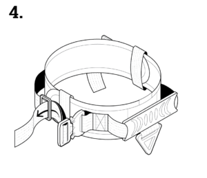 dog collar instructions - step 3.